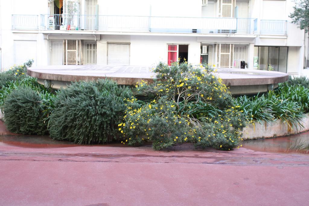 Apartamento Le Grand Sud Niza Habitación foto